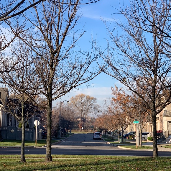 Meet your Posher, Wil - Picture 1 of 1